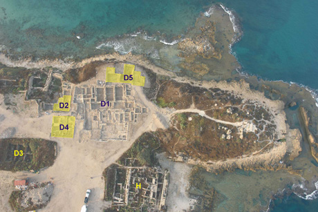 Figure 2: Areas excavated in 2007