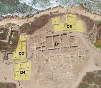 Figure 2: Areas excavated in 2008