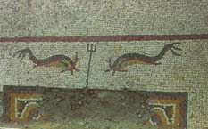 The dolphin mosaic